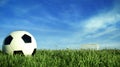 Soccer ball on green grass field for sport event