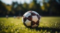 Soccer ball on green grass field in sunny summer day Royalty Free Stock Photo