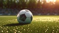 Soccer ball on green grass field at sunset. Generative AI. Royalty Free Stock Photo