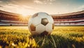 Soccer ball on the green grass of the football arena in golden sunset light. Selective focus with copy space background Royalty Free Stock Photo