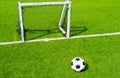 Soccer ball on green grass