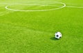 Soccer ball on green grass