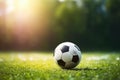 A soccer ball on the green grass of a football field on a sunny summer day Royalty Free Stock Photo