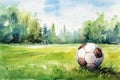 A soccer ball on the green grass of a football field on a sunny summer day Royalty Free Stock Photo
