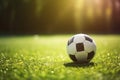 A soccer ball on the green grass of a football field on a sunny summer day Royalty Free Stock Photo