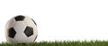 Soccer ball green grass isolated 3d-illustration Royalty Free Stock Photo