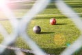 Soccer ball on green grass on sunset Royalty Free Stock Photo