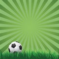 Soccer ball on green grass. vector Royalty Free Stock Photo