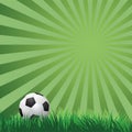 Soccer ball on green grass. vector Royalty Free Stock Photo