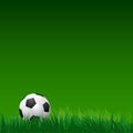 Soccer ball on green grass. vector Royalty Free Stock Photo