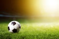 Soccer ball on ground grass stadium football game sport competition event championship match artificial green grass lawn Royalty Free Stock Photo