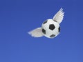 soccer ball have wings fly in the air on blue sky