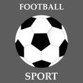 Soccer ball icon. Soccer ball Vector isolated on grey background.