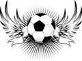 Soccer ball insignia