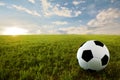 Soccer ball in meadow Royalty Free Stock Photo