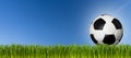 Soccer ball on meadow Royalty Free Stock Photo