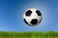 Soccer ball on meadow Royalty Free Stock Photo