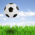 Soccer ball over grass Royalty Free Stock Photo