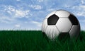 Soccer ball over green grass Royalty Free Stock Photo