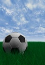 Soccer ball over green grass Royalty Free Stock Photo