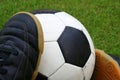 A soccer ball and a pair of shoes Royalty Free Stock Photo