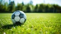 soccer ball resting on a freshly mowed green field, perfect for sports-related designs Royalty Free Stock Photo