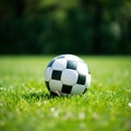 soccer ball resting on a freshly mowed green field, perfect for sports-related designs Royalty Free Stock Photo