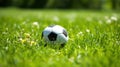 soccer ball resting on a freshly mowed green field, perfect for sports-related designs Royalty Free Stock Photo