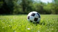soccer ball resting on a freshly mowed green field, perfect for sports-related designs Royalty Free Stock Photo