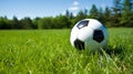 soccer ball resting on a freshly mowed green field, perfect for sports-related designs Royalty Free Stock Photo