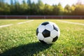 Soccer ball rests on the field, anticipation of the game