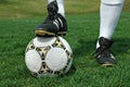 Soccer Ball and Shoes