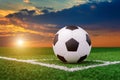 Soccer ball on soccer field at sunset Royalty Free Stock Photo