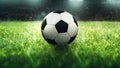 Soccer ball in the Stadion Royalty Free Stock Photo