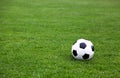 Soccer Ball On Stadium Field Royalty Free Stock Photo