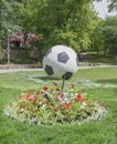 Soccer ball in the summer Gorky Park