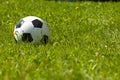 Soccer ball on a sunny meadow Royalty Free Stock Photo