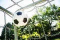 Soccer ball in top corner of the goal in summer