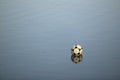 Soccer ball on water Royalty Free Stock Photo