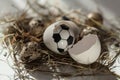 Soccer ball in white eggshell on blurred background Royalty Free Stock Photo