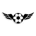 Soccer balloon with wings