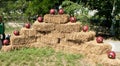 Soccer balls put on the straw bales