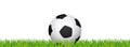 Soccer banner. Football stadium grass and white background. Header with soccer ball in the middle. Royalty Free Stock Photo