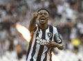 soccer brazil botafogo Royalty Free Stock Photo