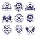 Soccer club or football league vector ball, star wings ribbon vector icons Royalty Free Stock Photo