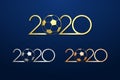 Soccer competition of 2020 icon