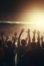 Soccer fans seen from back, cheering on stadium game, night time. Abstract football concept Royalty Free Stock Photo