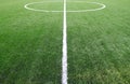 Soccer field grass