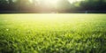 Soccer Field with Green Grass and Sunset in Stadium. Front View of Lawn for Baseball, Soccer, Football or Golf Game Royalty Free Stock Photo