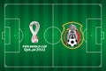 Soccer field seen from above with the emblem of the football federation of Mexico